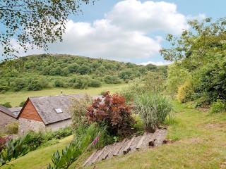 Hope Cottage - Knighton - 9