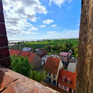 Gasthaus & Pension Natzke - Usedom Town - 7
