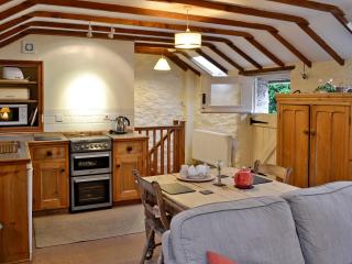 Rhydlanfair Cottage - Capel Garmon - 7