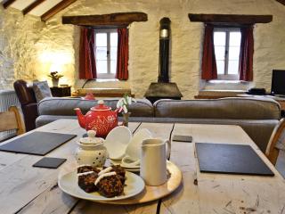 Rhydlanfair Cottage - Capel Garmon - 6