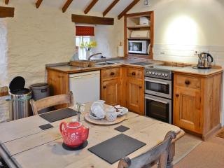 Rhydlanfair Cottage - Capel Garmon - 5