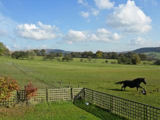 Bramble Cottage - 27978 - Whalley - 6