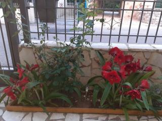 Maria's house - Diakopto - 1