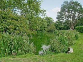 Hooke Court - Hooke - 3