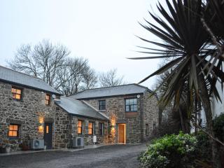 Midge - Newlyn - 8