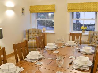 Midge - Newlyn - 4