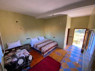 jardin du desert - 8