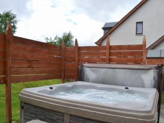 Clunnie Mor - S4615 - Aviemore - 9
