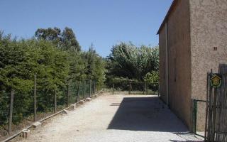 Les lauriers - Hyères - 2