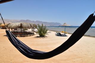 Shanty beach camp suer - 5