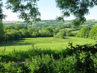 Horseshoe Barn - 1