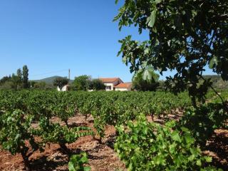 La campagne - 0