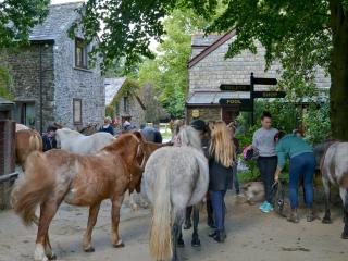 Cider House - Launceston - 8