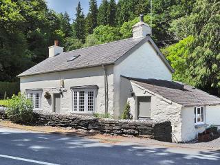 Ty Newydd - Betws-y-coed - 9