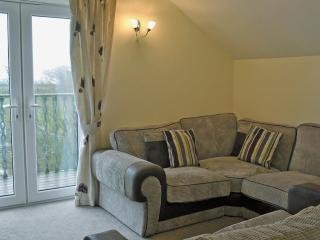 Birch Lodge - Lamerton - 9