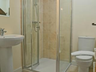 Birch Lodge - Lamerton - 9