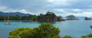 Les vendangeurs a 800 m de la mer - Bormes-les-Mimosas - 6