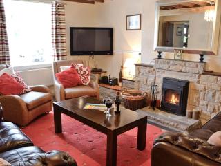 Bryn Euryn Cottage - 28135 - Llandrillo-yn-Rhôs - 9