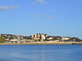 Granary Cottage - Torquay - 3