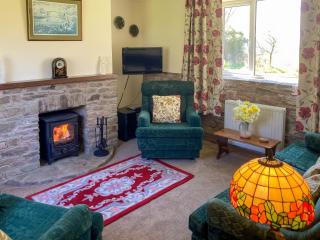 Steep Holm - Kington - 9