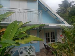 le colibri ble - Sainte-Anne - 4