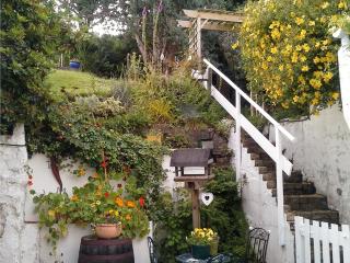 Ivybank Cottage - 3