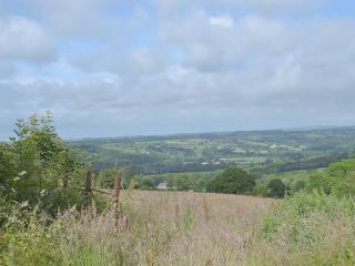 The Granary - Or3 - Henfynyw Upper - 7