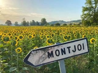 Le gîte Bellevue à MONTJOI 82400 Tarn & Garonne - Monjoi - 4