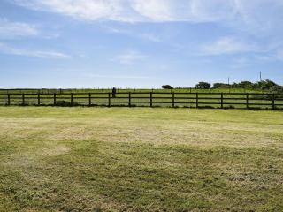 Cherry - 28556 - Brighstone - 5