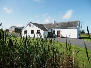 Bay View Cottage - Llanon - 4