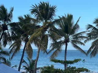 Wing Camp - Cabarete - 2