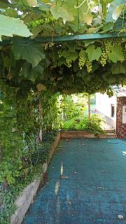 Family apartments "Hamster" up to 7 persons - Zgornja Polskava - 2