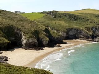Kilcummer Stables - Tintagel - 4