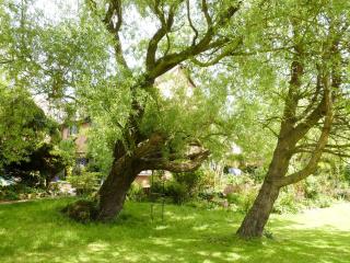 Ash Cottage E1224 - Winthorpe - 9