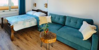 Apartament Zielony Ruczaj w Cisnej - Cisna - 9