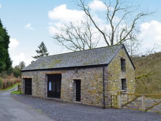 Rhyblid Fach - Myddfai - 7