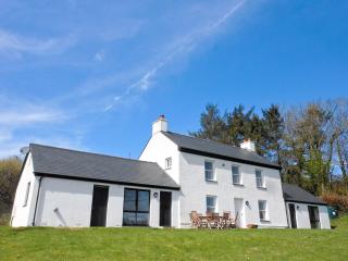 Dolgoed House - 5