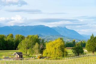 Season Premiere Winery-Bed & Breakfast in vineyard - Abbotsford - 9