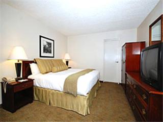 Dinosaur Inn & Suites - Vernal - 5
