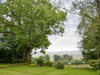 Broomstick Cottage - 5