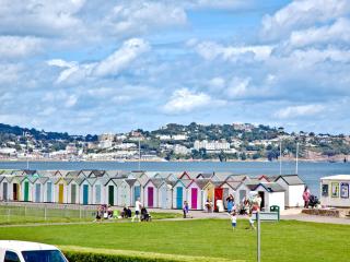 15 Belvedere Court - Paignton - 9