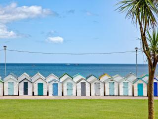 15 Belvedere Court - Paignton - 7