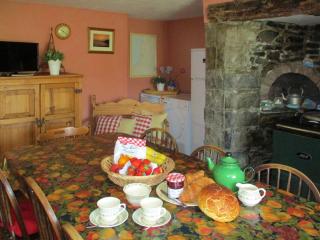 Tremaer - Poughill - 8