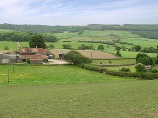 Bramble Cottage-19878 - Cloughton - 4