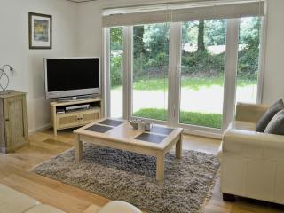 Hollies - W43107 - Bradworthy - 1