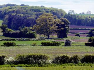 Wold View Cottage - Rillington - 2