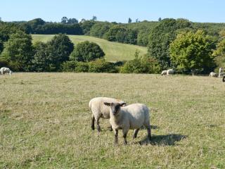 The Dairy - Ninfield - 1