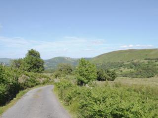 Gorsddu - Llanwrthwl - 8