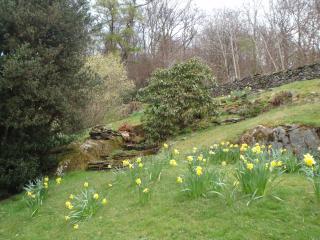 Breasty Haw - Grizedale - 9