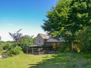 Wallhouse Barn - Blisland - 0